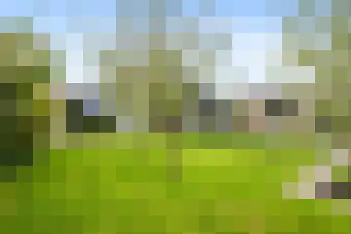 Johan Clantstraat 3 Aduard thumbnail 48