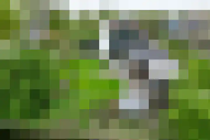 Johan Clantstraat 3 Aduard thumbnail 7