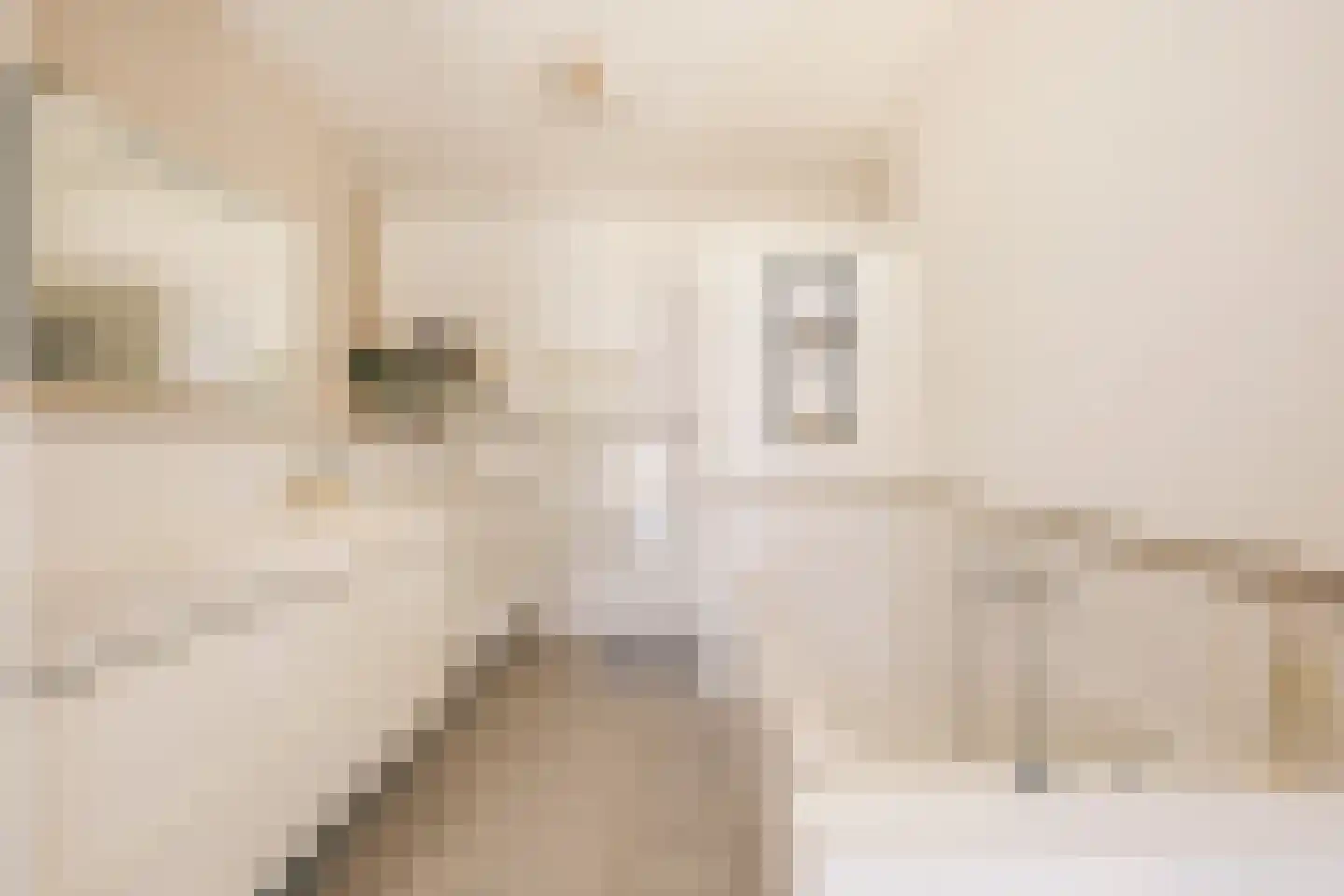 Johan Coltermanpad 16 Amsterdam thumbnail 21