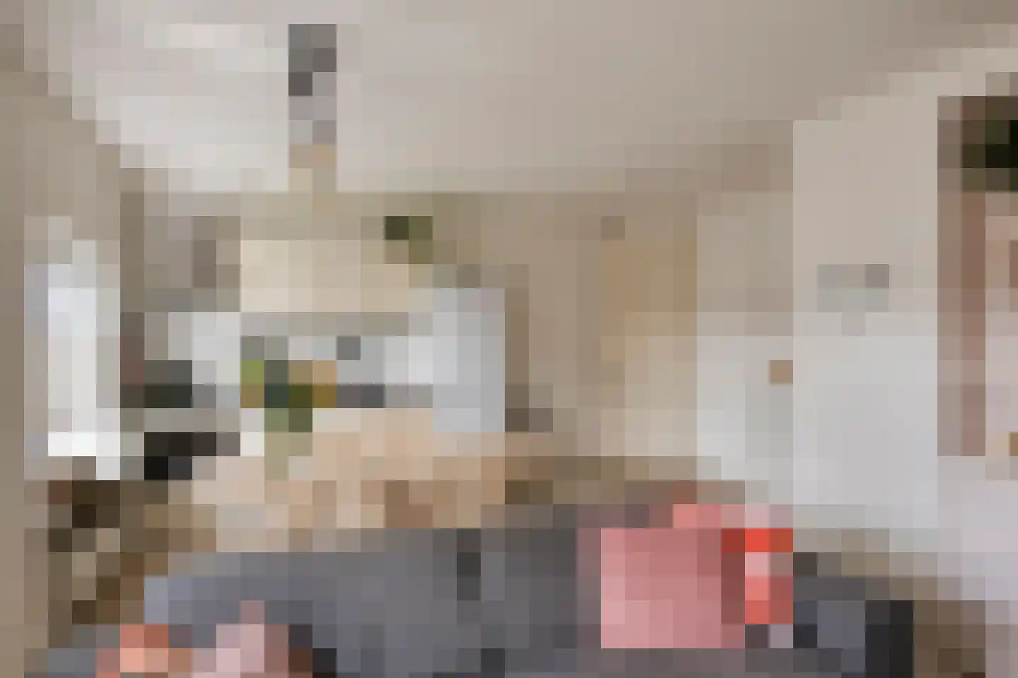 Johan Combéplein 10 Arnhem thumbnail 20