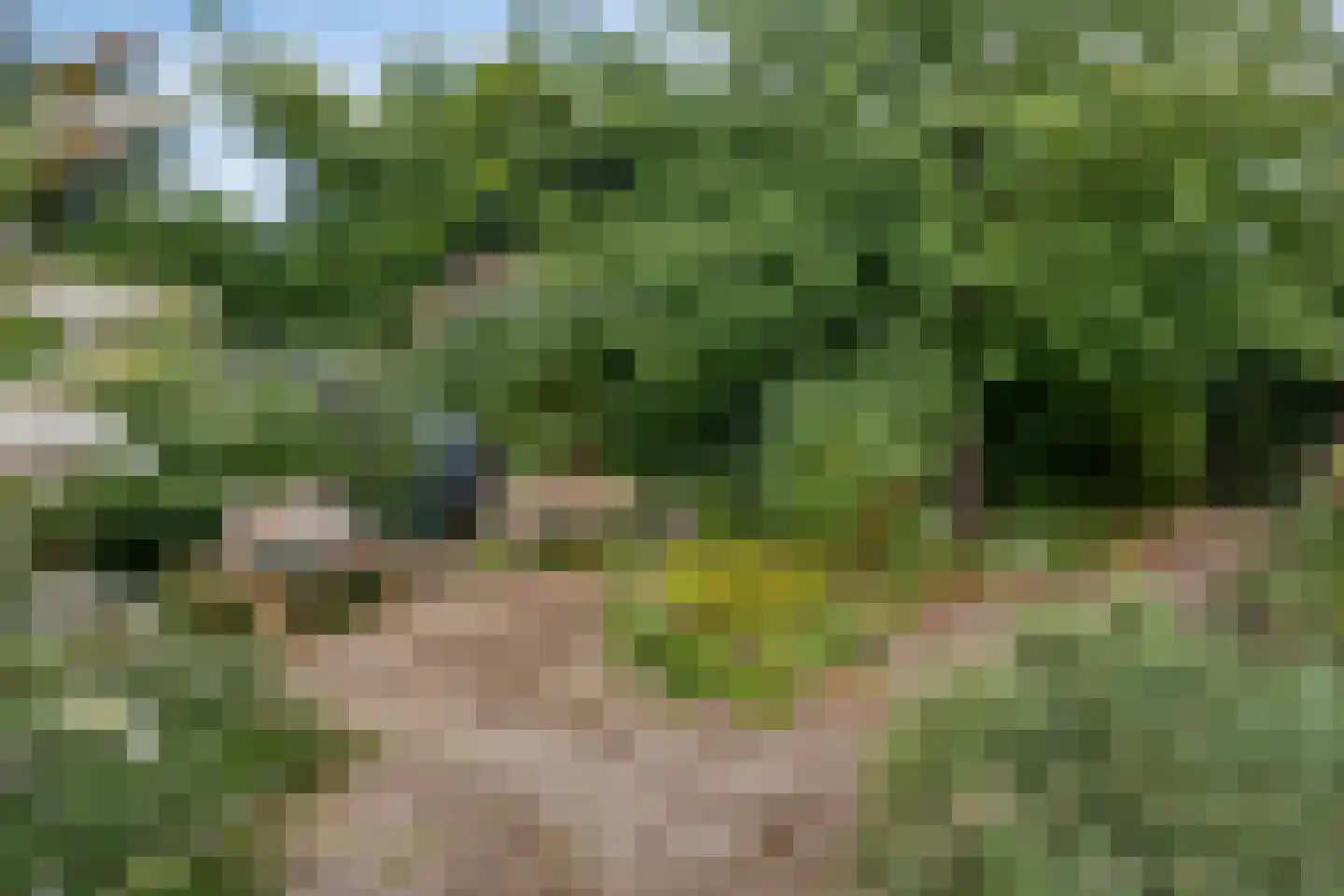 Johan Combéplein 10 Arnhem thumbnail 38
