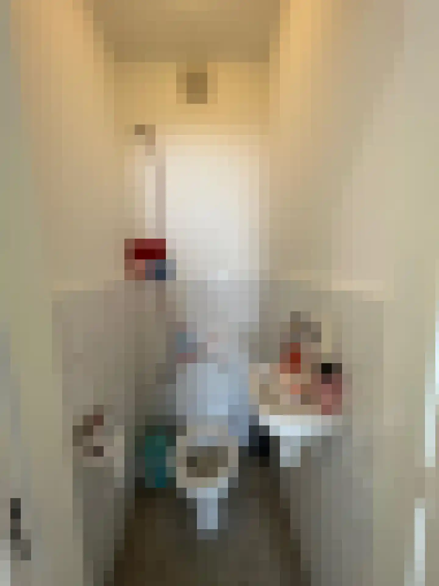 Johan Coollaan 15 Voorburg thumbnail 15