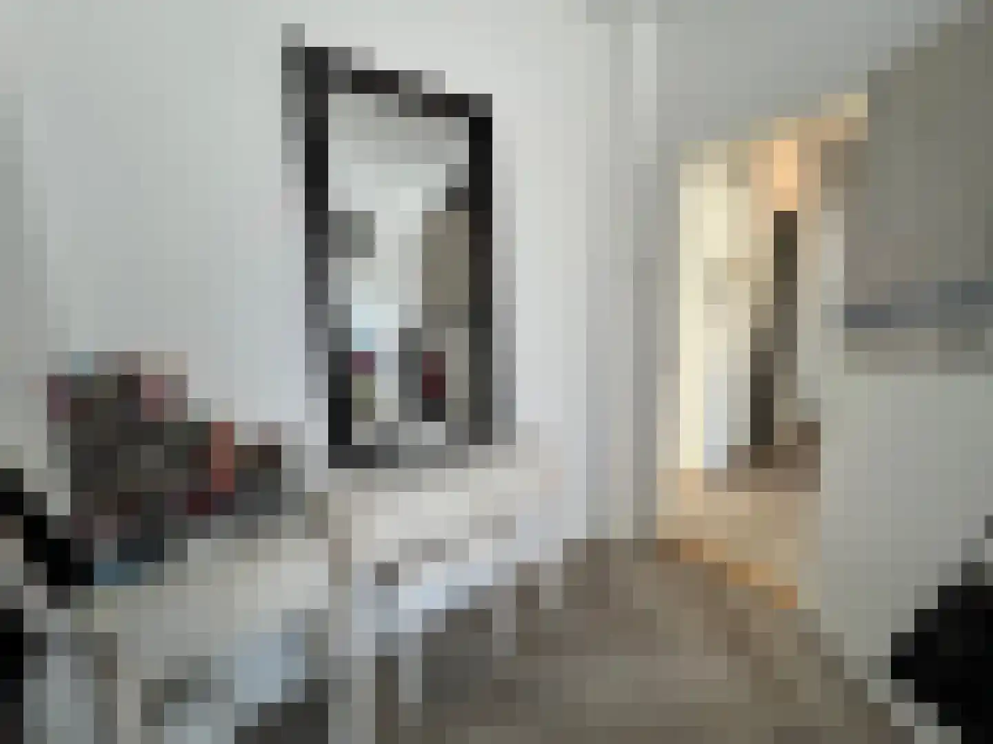 Johan Coollaan 15 Voorburg thumbnail 20