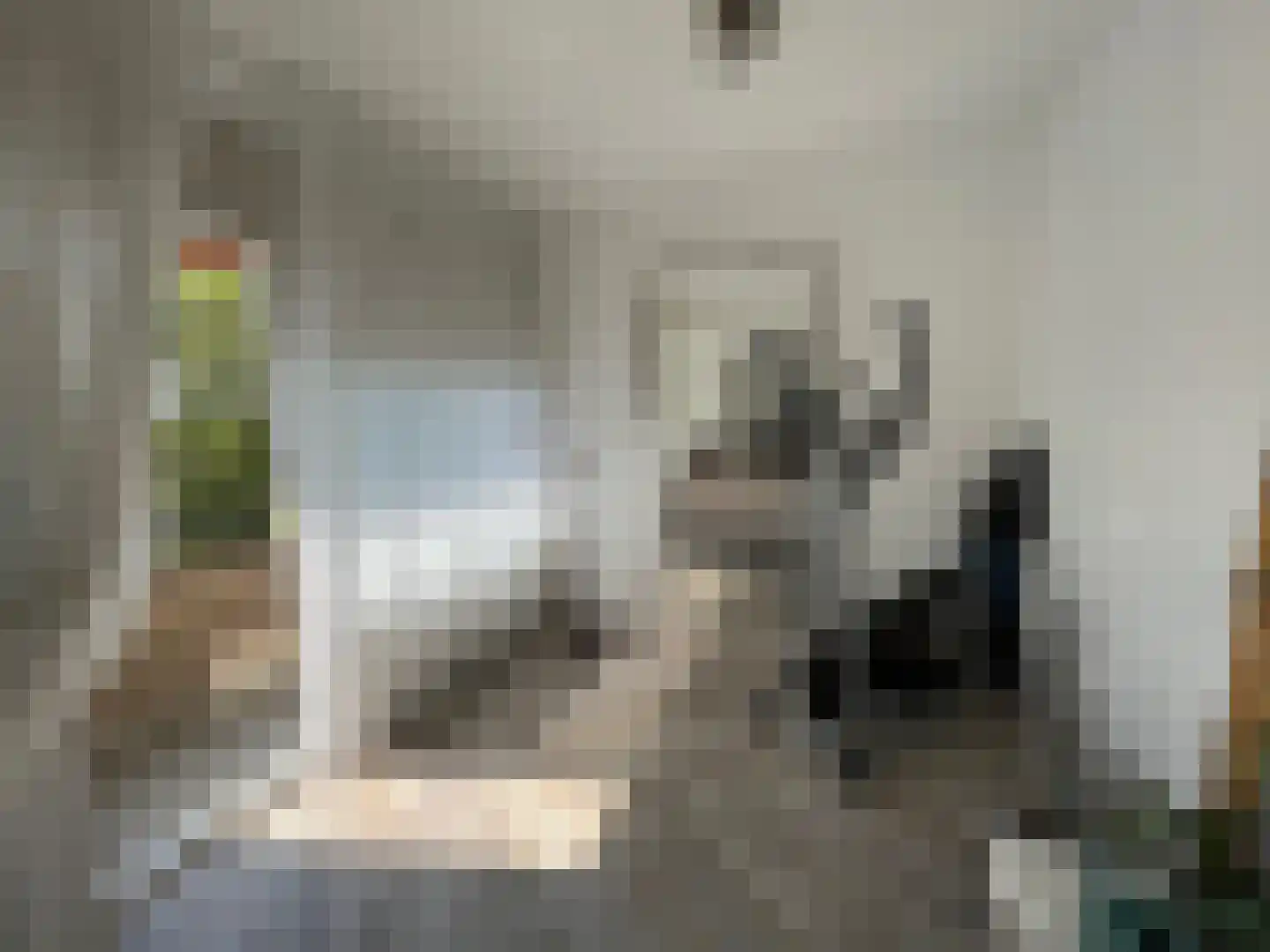 Johan Coollaan 15 Voorburg thumbnail 21