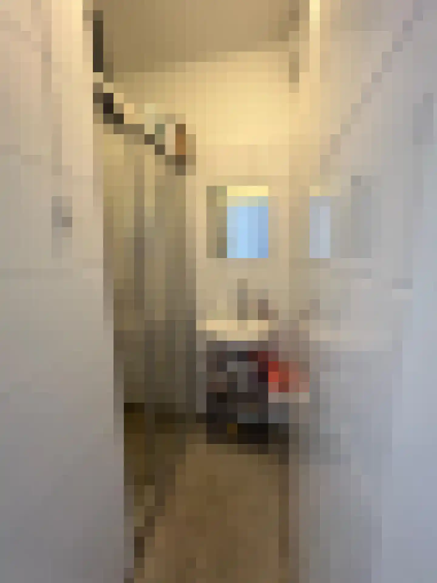 Johan Coollaan 15 Voorburg thumbnail 23