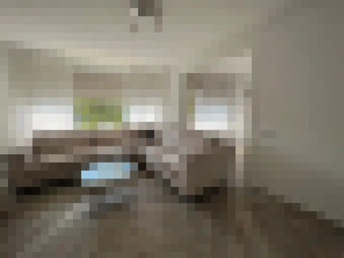 Johan Coollaan 15 Voorburg thumbnail 4