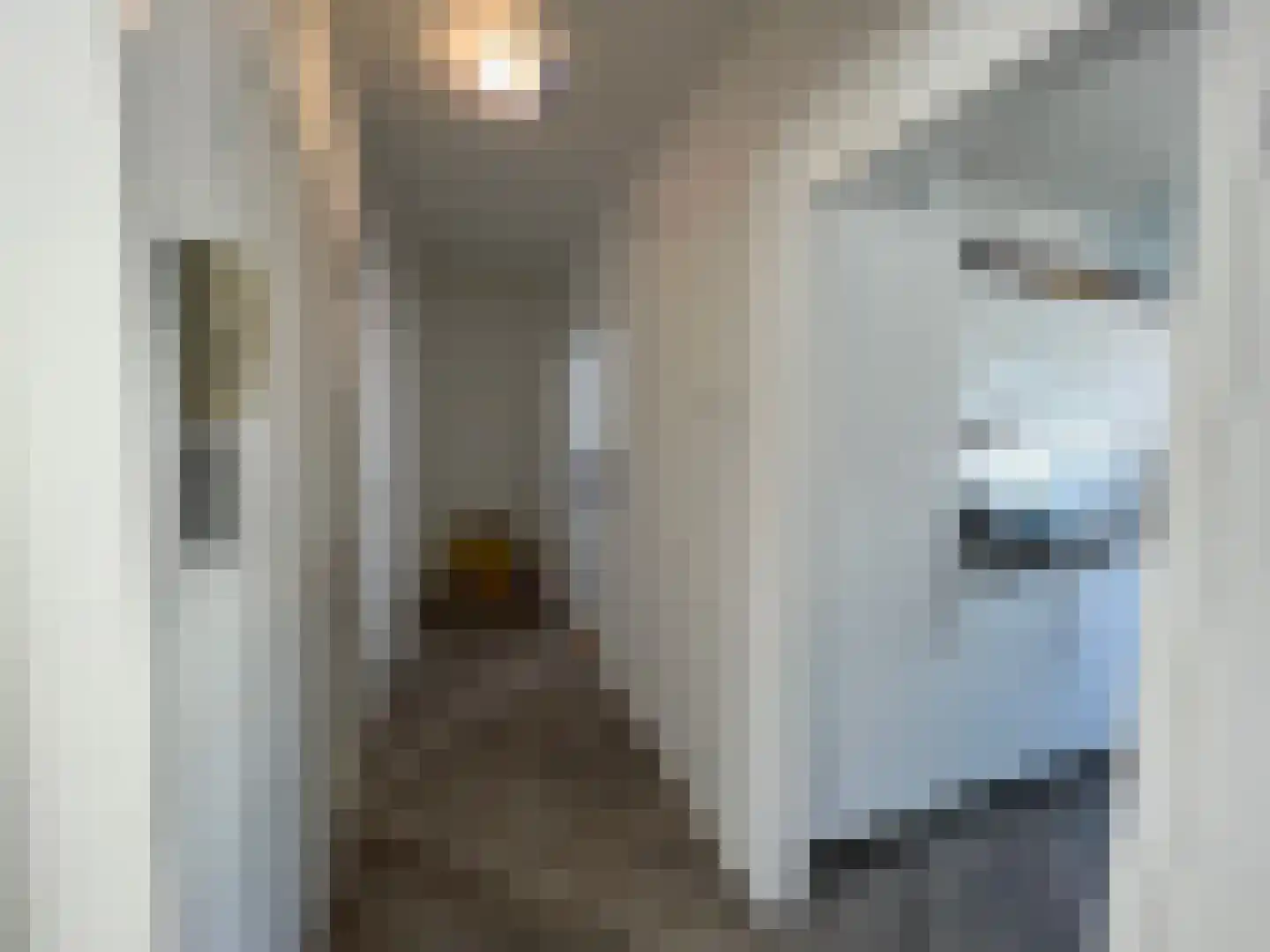 Johan Coollaan 15 Voorburg thumbnail 7