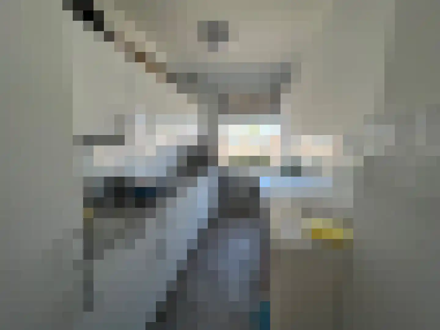 Johan Coollaan 15 Voorburg thumbnail 8