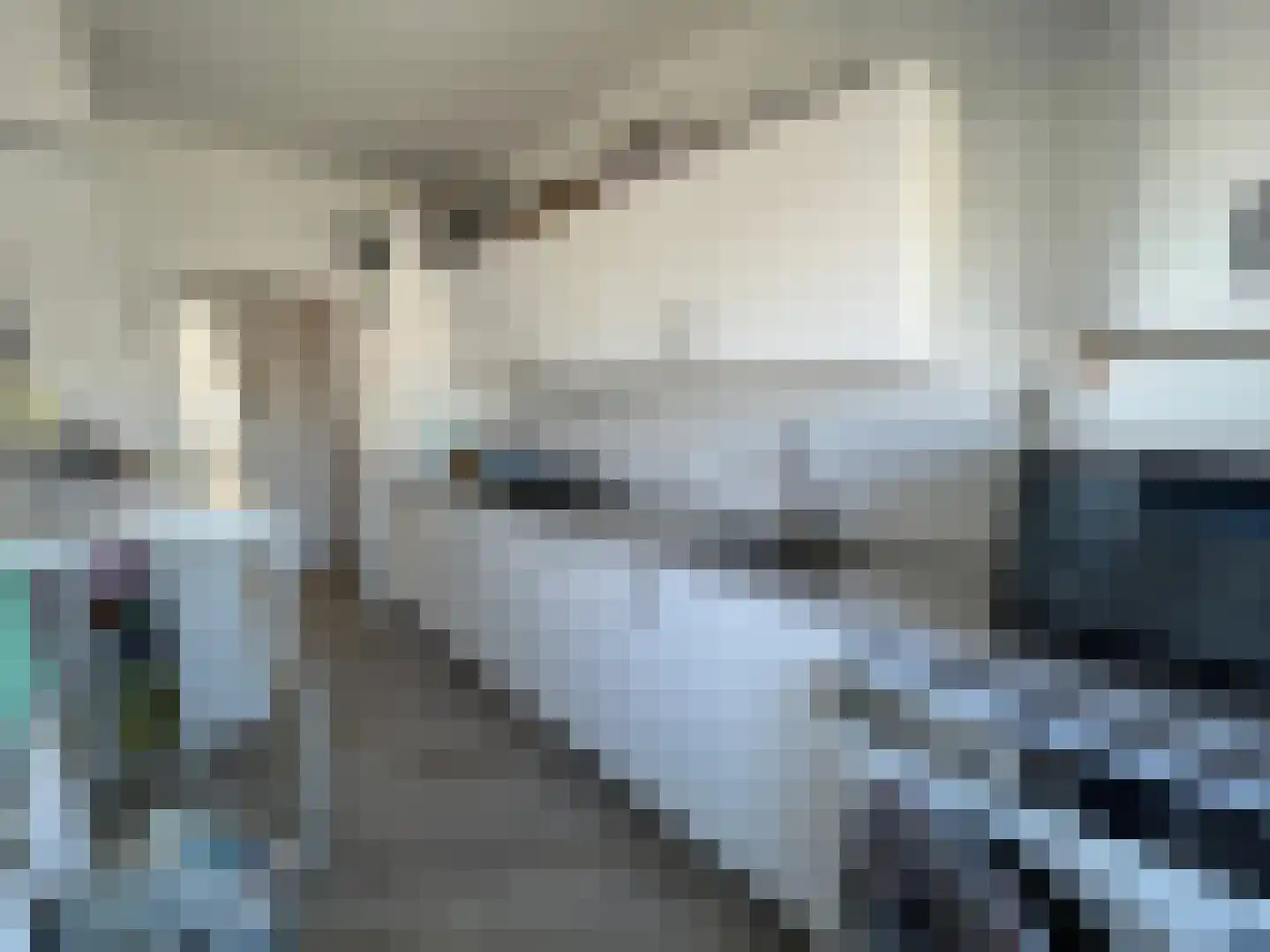 Johan Coollaan 15 Voorburg thumbnail 9