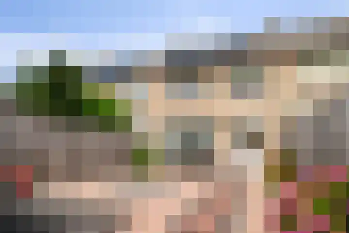 Johan Costenobelstraat 16 Middelburg thumbnail 22