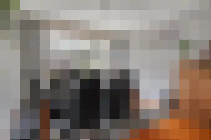 Johan Costenobelstraat 16 Middelburg thumbnail 4