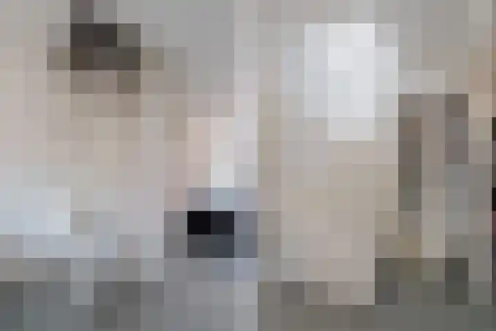 Johan Coussetstraat 13 Diemen thumbnail 21
