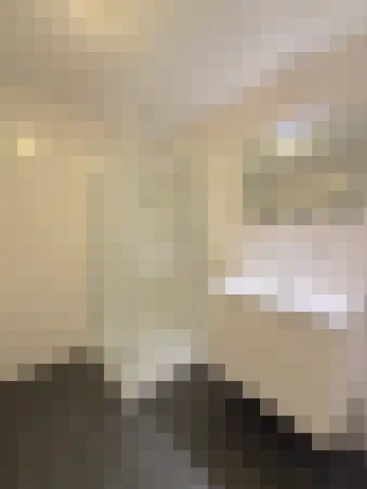 Johan David Zocherstraat 100 Voorburg thumbnail 12