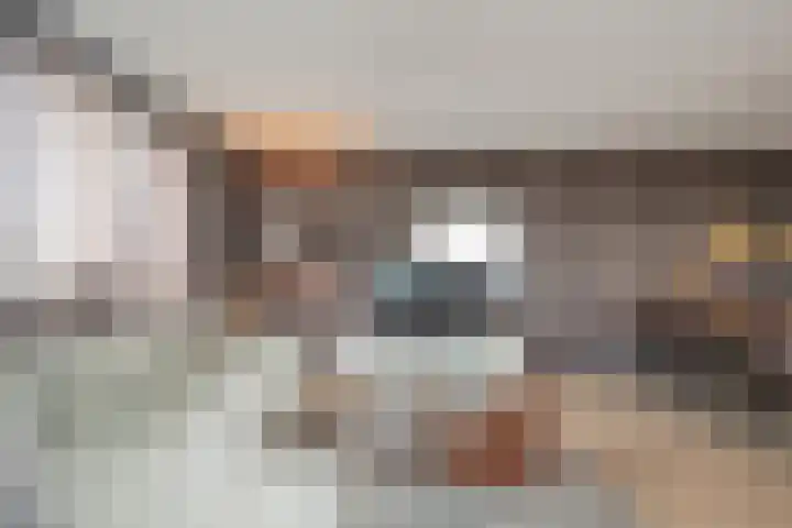 Johan David Zocherstraat 100 Voorburg thumbnail 7