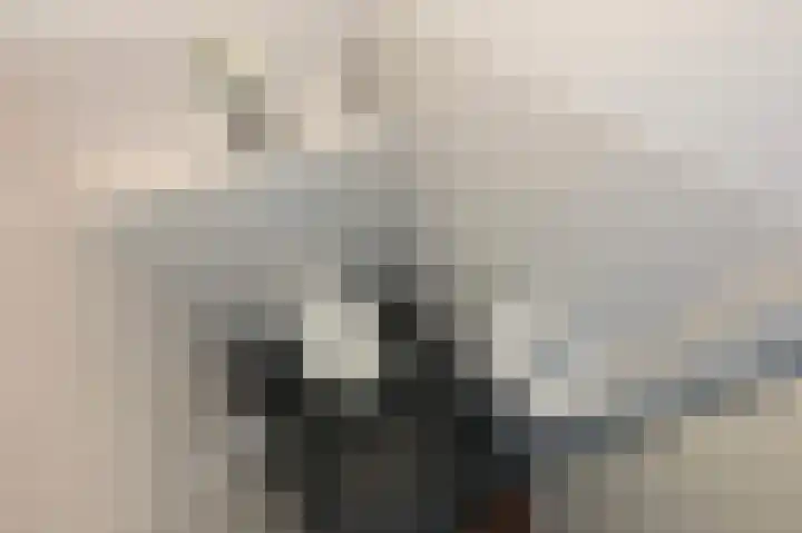 Johan David Zocherstraat 112 Voorburg thumbnail 32