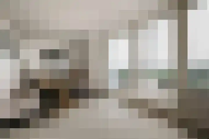 Johan David Zocherstraat 112 Voorburg thumbnail 7