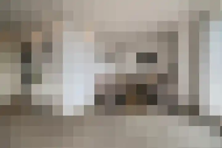 Johan David Zocherstraat 112 Voorburg thumbnail 8