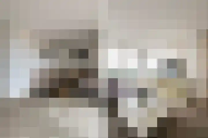 Johan David Zocherstraat 112 Voorburg thumbnail 9