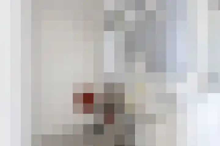 Johan David Zocherstraat 46 Voorburg thumbnail 22