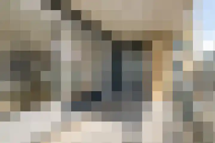 Johan David Zocherstraat 80 Voorburg thumbnail 23