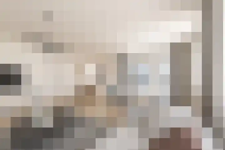Johan David Zocherstraat 92 Voorburg thumbnail 10