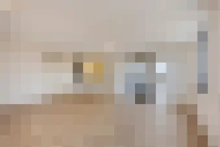 Johan David Zocherstraat 92 Voorburg thumbnail 15