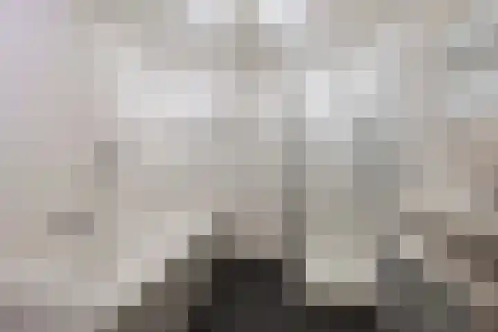 Johan David Zocherstraat 92 Voorburg thumbnail 25