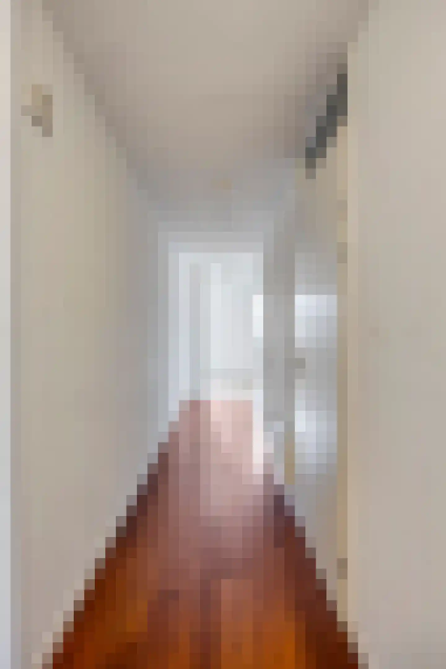 Johan David Zocherstraat 94 Voorburg thumbnail 8