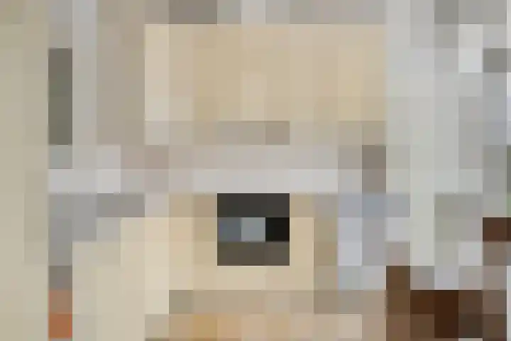 Johan de Knuytlaan 28 Nieuw-Vossemeer thumbnail 15