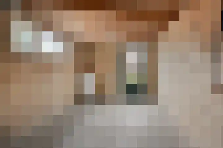 Johan de Knuytlaan 28 Nieuw-Vossemeer thumbnail 31
