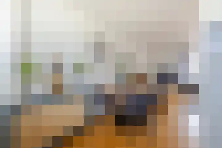 Johan de Kreijstraat 25 Giessenburg thumbnail 11