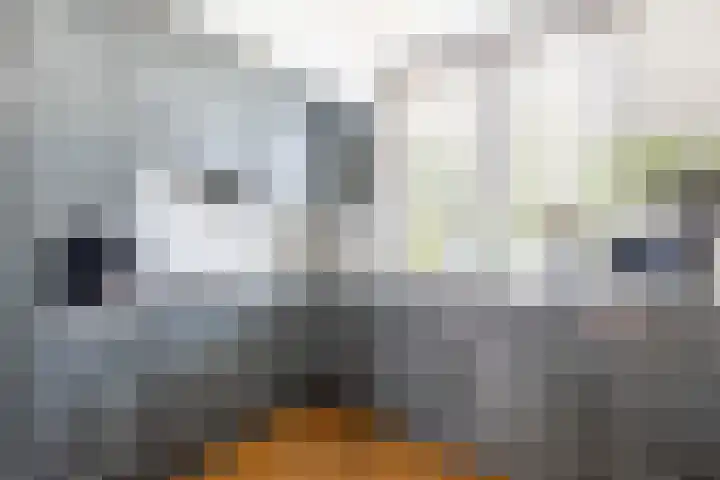 Johan de Kreijstraat 25 Giessenburg thumbnail 14