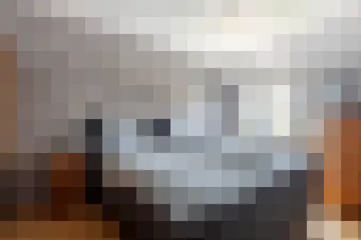 Johan de Kreijstraat 25 Giessenburg thumbnail 20