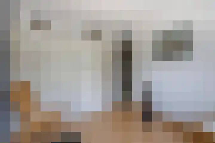 Johan de Kreijstraat 25 Giessenburg thumbnail 23