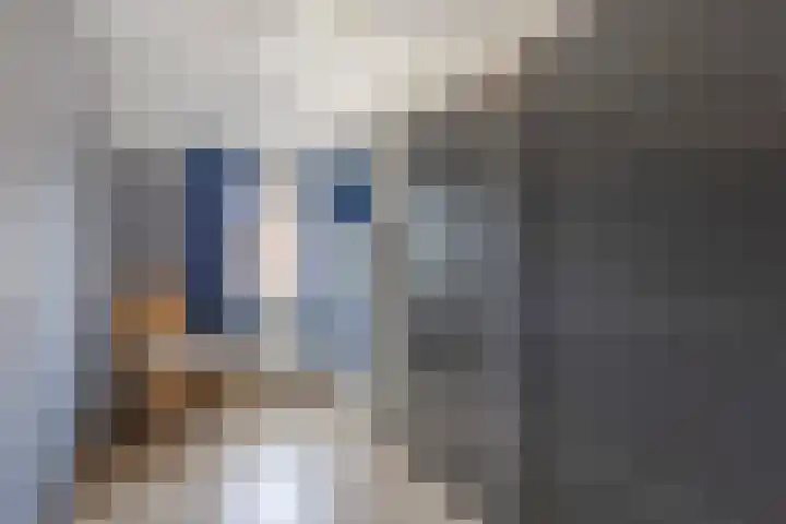 Johan de Kreijstraat 25 Giessenburg thumbnail 24