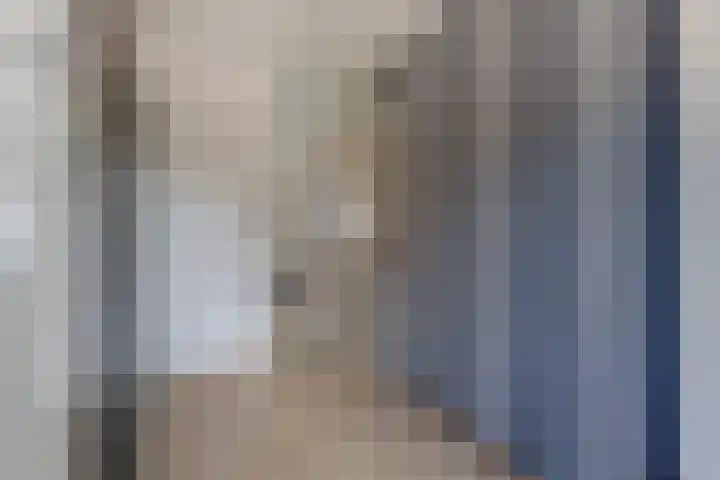 Johan de Kreijstraat 25 Giessenburg thumbnail 25