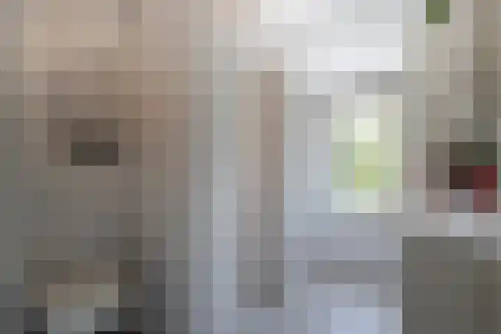 Johan de Kreijstraat 25 Giessenburg thumbnail 26