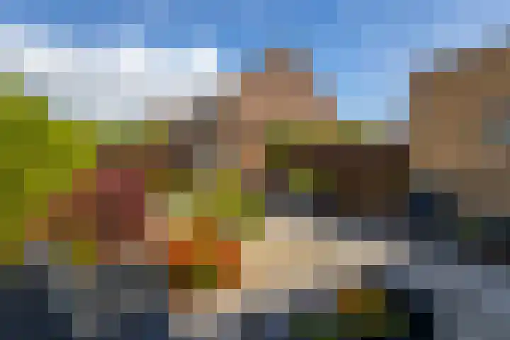 Johan de Kreijstraat 25 Giessenburg thumbnail 33