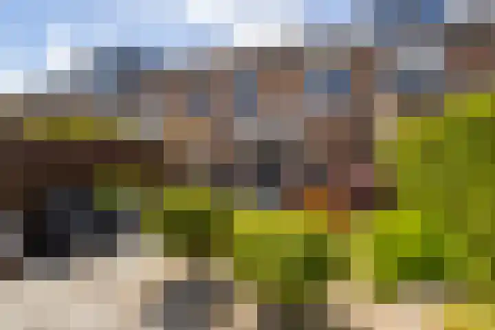 Johan de Kreijstraat 25 Giessenburg thumbnail 36
