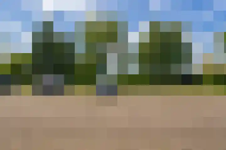 Johan de Kreijstraat 25 Giessenburg thumbnail 39