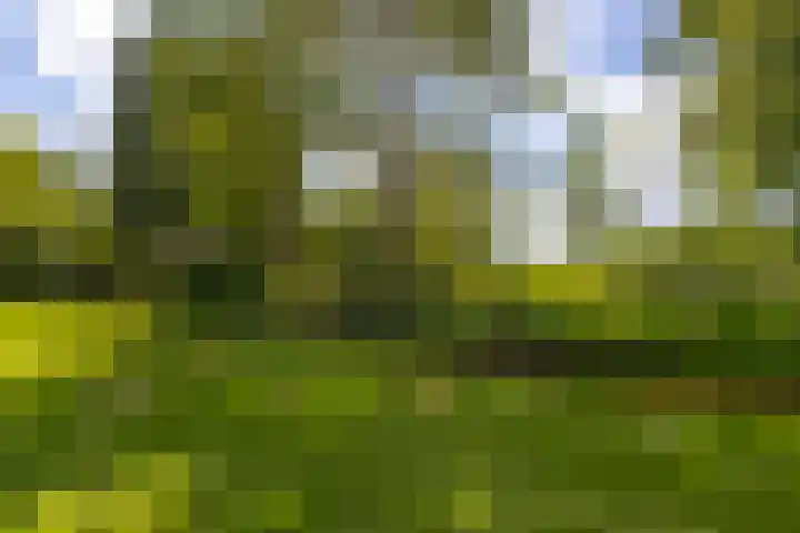 Johan de Kreijstraat 25 Giessenburg thumbnail 40
