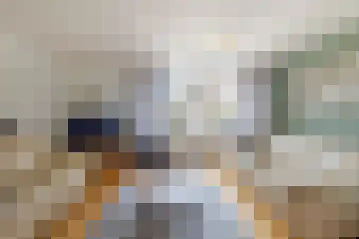 Johan de Kreijstraat 25 Giessenburg thumbnail 8