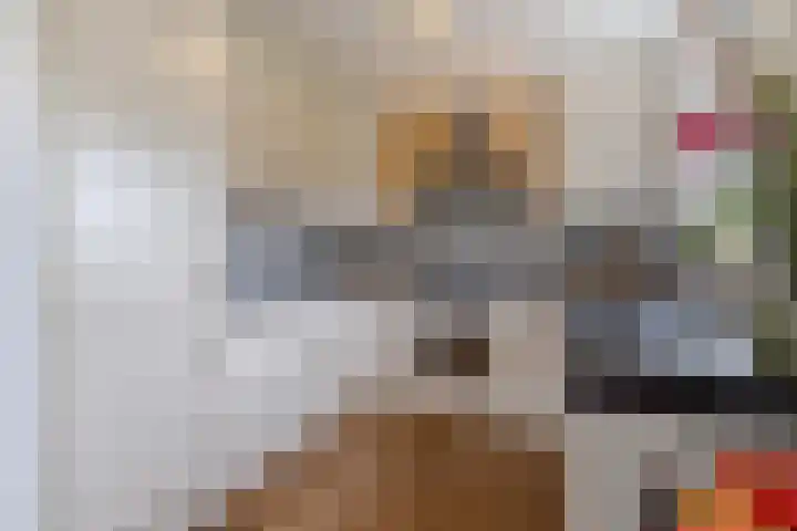 Johan de Kreijstraat 36 Giessenburg thumbnail 18