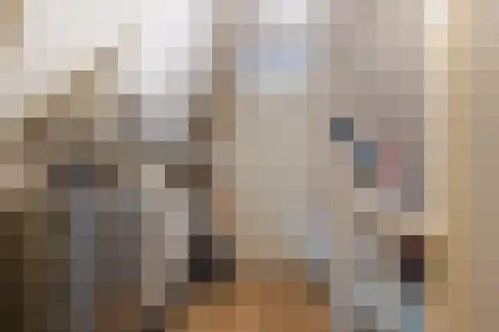 Johan de Kreijstraat 36 Giessenburg thumbnail 32