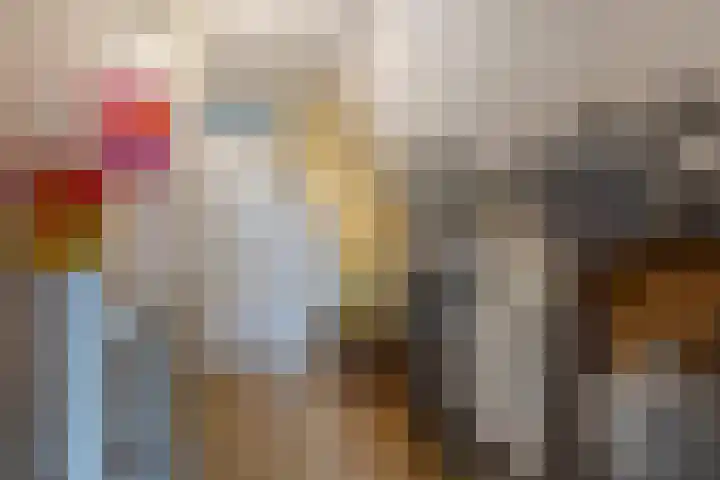 Johan de Kreijstraat 36 Giessenburg thumbnail 33