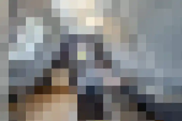 Johan de Kreijstraat 36 Giessenburg thumbnail 34