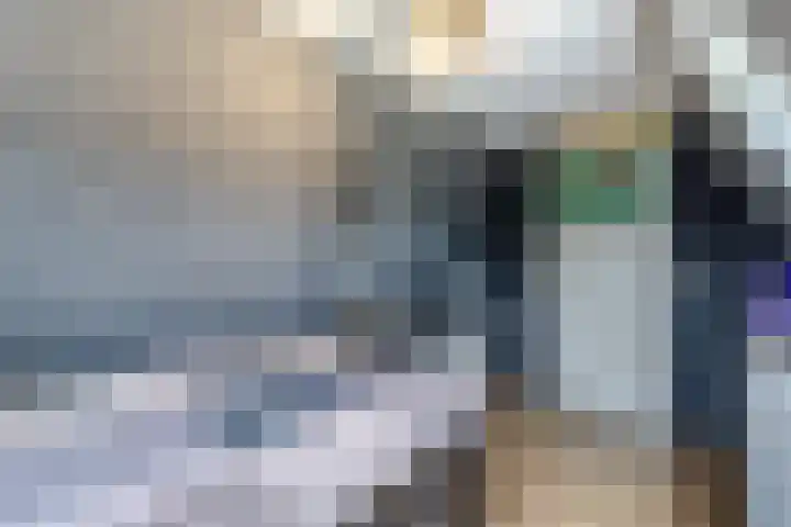 Johan de Kreijstraat 36 Giessenburg thumbnail 35