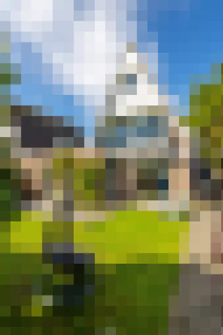 Johan de Kreijstraat 36 Giessenburg thumbnail 38