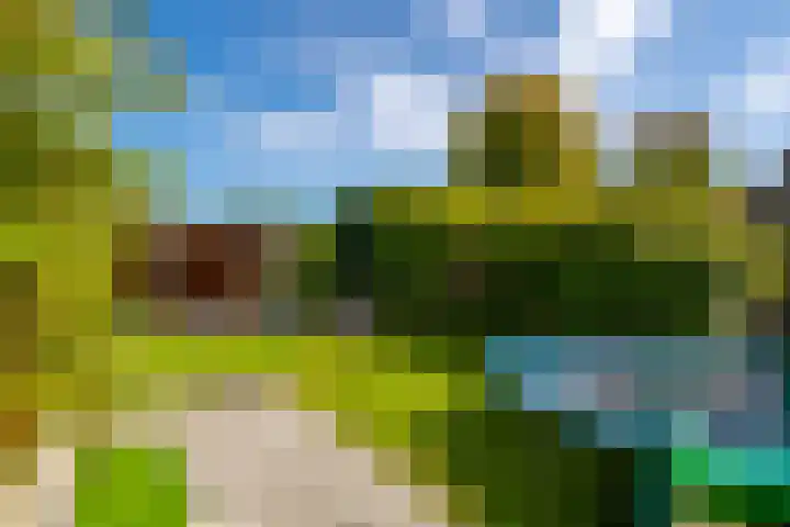 Johan de Kreijstraat 36 Giessenburg thumbnail 40