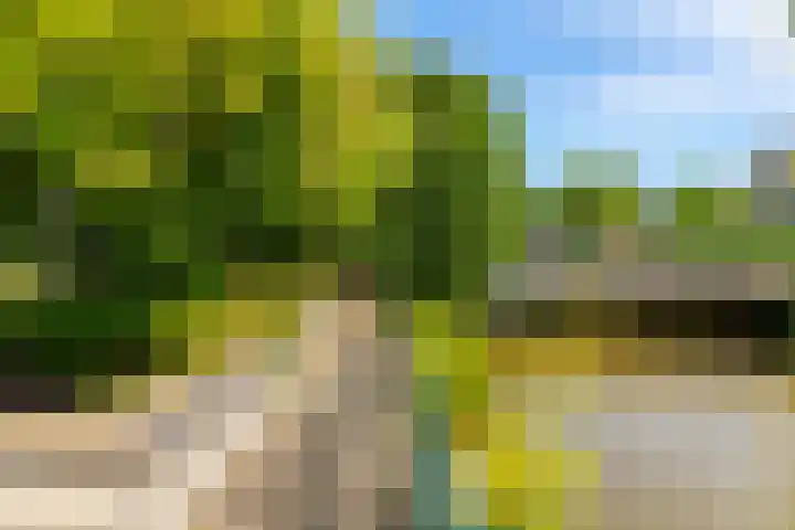 Johan de Kreijstraat 36 Giessenburg thumbnail 41